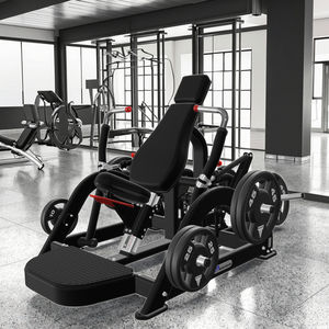 Gym Fitness Equipment Commercial Low Back Trainer avec plaque chargée Divisé Motion Trainer - Product Image 5