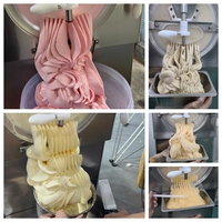 Machine à glace italienne professionnelle 56L/H, Mantecatore Gelato Ad Acqua et sorbetière à production continue