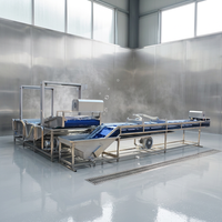 Blaasreinigingsmachine voor blauwe bessen en aardbeien, groente- en fruitdroog- en reinigingsmachine