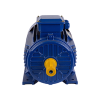 Motor de Empuje para Ventilador de Túnel de Hierro Fundido Dellite IE3 132KW 180HP 4P 1500RPM 380V 415V 660V B35 de Alta Eficiencia YE3
