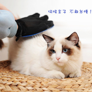 Gants de toilettage pour chat en fibres douces, pour l'élimination des poils - Product Image 1