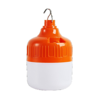 APCITL Éclairage à économie d'énergie, batterie de rechange, ampoule USB E27, rechargeable, lampe LED en plastique pour la maison, lampe de secours pour le camping