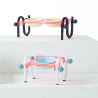 Support de gamelle surélevé moderne et transparent pour animaux de compagnie, avec bols en céramique inclinés pour chats et petits chiens, équipement d'alimentation OEM en gros