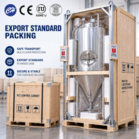 Cuve de Fermentation de Bière en Acier Inoxydable avec Fond Conique, Manomètre, Tube de Niveau et Système de Raccordement Sanitaire