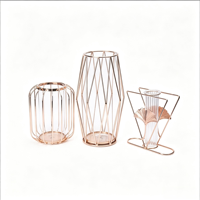 Vase en verre de fleur de décoration de salon moderne et créatif personnalisé en vente de gros Vase en verre hydroponique en métal Ginkgo Biloba