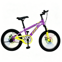 Vélo pour enfant en acier haute teneur en carbone, durable, avec rayons colorés arc-en-ciel, design jeune et dynamique, unisexe, pour le cyclisme en extérieur