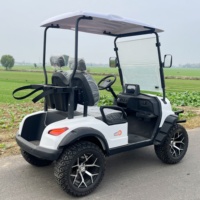 Voiturette de Golf Électrique Compacte 2 Passagers Chinoise Buggy au Meilleur Prix