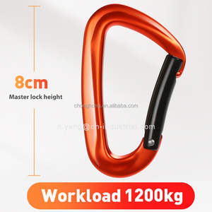 Mosquetón <span class=keywords><strong>de</strong></span> Escalada con Gancho <span class=keywords><strong>de</strong></span> Seguridad <span class=keywords><strong>de</strong></span> 12KN, Personalizable con Logotipo, Proveedor Chino, Mosquetón <span class=keywords><strong>de</strong></span> Aluminio 7075 en Forma <span class=keywords><strong>de</strong></span> D - Product Image 4