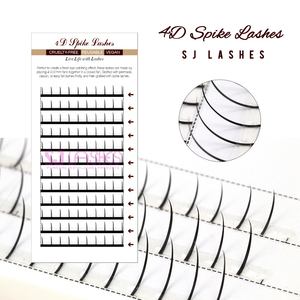 Lông Mi Kéo Dài 6D W Sử Dụng Phương Pháp Nối Lông Mi Với Tóc Để Tạo Khối Lượng - Product Image 3