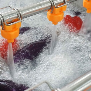 เครื่องล้างมะเขือเทศแบบฟองอากาศ 1000-1400 กก./ชม. เครื่องล้างมะเขือเทศแบบฟองอากาศแรงสูง - Product Image 5