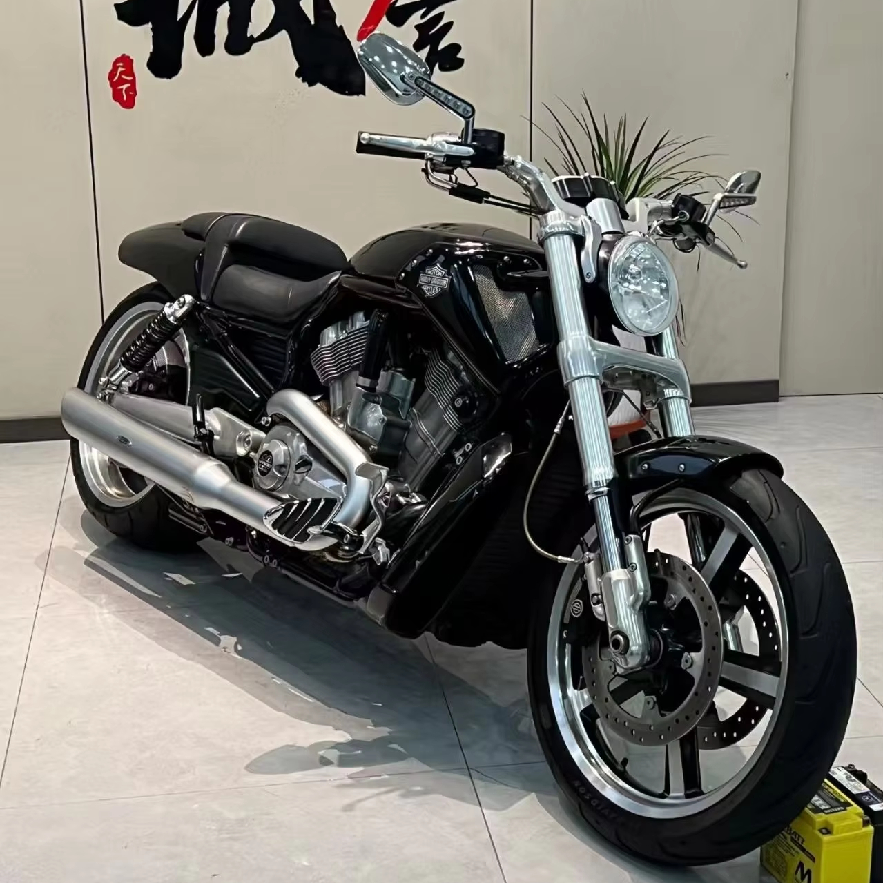 High-Performance 1250cc Motorcycles for All Adventurers