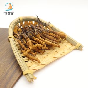 Cogumelo seco todo o preço selvagem <span class=keywords><strong>cordyceps</strong></span> <span class=keywords><strong>sinensis</strong></span> <span class=keywords><strong>cordyceps</strong></span> militar - Product Image 5