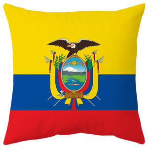 Coussins de canapé personnalisés avec drapeau national, housses de coussin carrées, technique de tricot, événements sportifs, cadeau pour les fans de football, pour la maison - Product Image 5