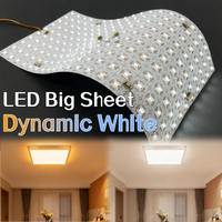 Panneau LED Dimmable, Feuille LED Flexible Double Blanc DC24V, Lumière Réglable, Panneau Matriciel Intelligent Tuya/Capteur, Rétroéclairage LED