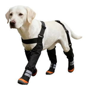 Chaussures imperméables <span class=keywords><strong>pour</strong></span> <span class=keywords><strong>chien</strong></span>, bottes réfléchissantes <span class=keywords><strong>pour</strong></span> <span class=keywords><strong>pattes</strong></span> <span class=keywords><strong>avec</strong></span> harnais de maintien, antidérapantes, toutes saisons, <span class=keywords><strong>pour</strong></span> la promenade des chiens - Product Image 2