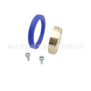 Gaggia Coffee Filter Replacement Brass <b>Shower</b> <b>Head</b> Holder Silicone <b>Washer</b> Stainless Steel Screws GA200IM - Product Image 4