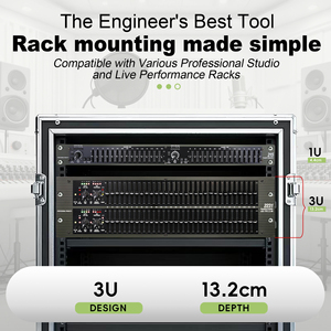 2231 Professional Dual 31 Band <strong>Audio</strong> Equalizer with <strong>NR</strong> &amp; HPF,Rack Mount Sound Tuner for KTV,Home Theater,Small Live Performance - Product Image 6