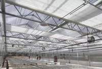 Serre en polycarbonate Venlo de haute qualité - Serre commerciale multi-voûtes avec système de contrôle climatique et culture hydroponique