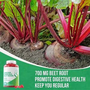 Gomitas OEM de Garcinia Cambogia, Gomitas de Vinagre de Sidra de Manzana, Gomitas de Té Verde Matcha, Gomitas de Garcinia Cambogia - Product Image 6