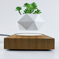 Pot de fleurs flottant à lévitation magnétique HCNT, en plastique ABS, alimenté électriquement, lévitation 12-15 mm, cadeau personnalisé pour la maison