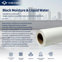 Membrane d'étanchéité anti-vapeur pour toiture et murs, film anti-condensation, barrière contre l'humidité, sous-couche d'isolation pour toiture