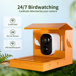 कैमरा थाई पक्षी मान्यता के साथ 3mp hd पक्षी फीडर सौर ऊर्जा तत्काल अधिसूचना पूर्ण HD पक्षियों की स्वचालित रिकॉर्डिंग - Product Image 4