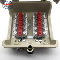 ANSHI AS-STB-BOX-10 Caja de Módulo STB Protectora para 10 Pares de Terminales de Punto de Distribución Externo, Montaje en Pared con 2 Rieles DIN