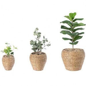 <span class=keywords><strong>Pot</strong></span> <span class=keywords><strong>de</strong></span> fleurs suspendu en rotin, panier tissé <span class=keywords><strong>de</strong></span> luxe léger, décoration murale 2022, bleu et gris, artisanat en jonc <span class=keywords><strong>de</strong></span> mer, pour la maison, fruits - Product Image 1