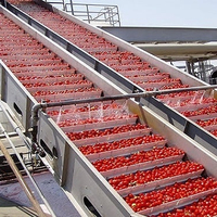 Línea de lavado de tomate Máquina de procesamiento de lavado de verduras Línea de procesamiento de Palma de fecha de tomate