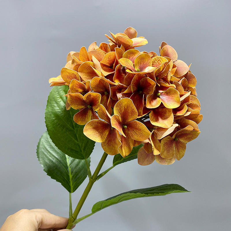 Hortensia simple tête 80cm-café