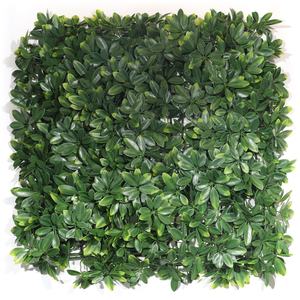Panel Decorativo Verde de Pared Vegetal <span class=keywords><strong>Artificial</strong></span> DBDMC a <span class=keywords><strong>Precio</strong></span> de Mayoreo, Planta <span class=keywords><strong>Artificial</strong></span> para Pared Exterior Verde - Product Image 2