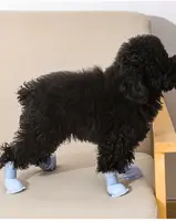 F2-658 yeni varış köpekler ayakkabı su geçirmez kaymaz aşınmaya dayanıklı açık köpek kar botları, silikon su geçirmez köpek çizmeleri ve ayakkabı