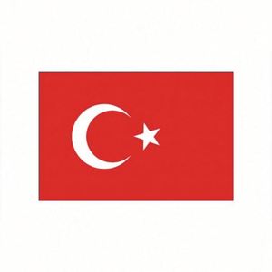 China Factory Custom Logo Banners 100D Polyester Portable Hanging Country <b>Flags</b> Sports Turkish <b>Flag</b> - Product Image 1