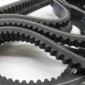 Cinghia motore più venduta 17 ax1029le 308032-M10-01085 - Product Image 5