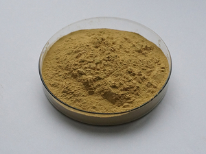 インセンサプライバナバ抽出物コロソリン酸粉末コロソリン酸 - Product Image 2