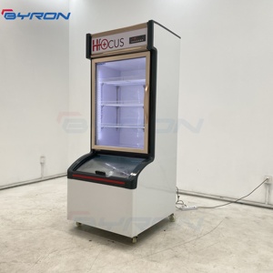 Byron hiển thị đứng Tủ đông cửa hàng tiện lợi tủ lạnh mẹ và con trai Tủ đông thương mại Tủ đông lạnh dọc - Product Image 3