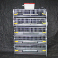 Cages en batterie de type H pour l'élevage professionnel des œufs de cailles, capacité 300 cailles/ensemble, pour la ponte, à vendre