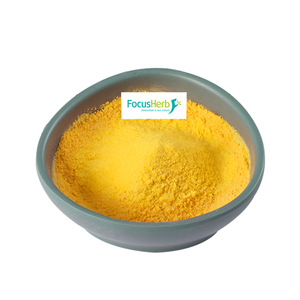 FocusHerb Factory vend en gros de la poudre de coenzyme Q10 de haute qualité, soluble dans l'eau, à 99 %. - Product Image 1