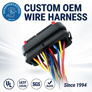 OEMODM线束制造商定制完整主内线束电动高尔夫球车线束电缆组 - Product Image 1