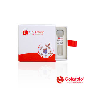 Антикорпоративный полyclonalный антигенный комплекс Solarbio (анти-POLD2) на основе кроличьих сывороток, модель K108495P, Пекин - Product Image 2