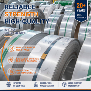 เหล็กแผ่นรีดเย็น 304L 316L ผิวซาติน หนา 0.3 มม. x กว้าง 1250 มม. มาตรฐาน ASTM A240 คุณภาพผิวพิเศษ - Product Image 1