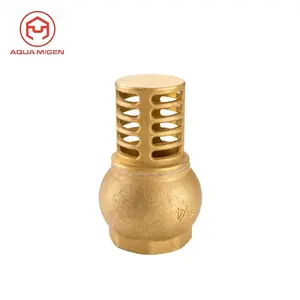 Good Supplier Heavy Style China Manufacturer Brass Color Non Return Brass Foot Valve