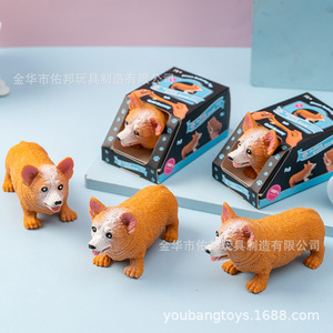 Jouet extensible pour chien Welsh Corgi, boîte de 12 pièces, jouet anti-stress en TPR pour enfants de 14 ans et plus - Product Image 2