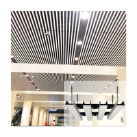 Faddish y Simple Bafle de aluminio Techo lineal Techo falso de metal suspendido para Lobby de hotel