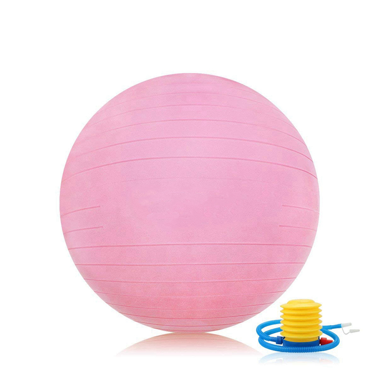 Лидер продаж, тренажерный зал, тренажер для фитнеса, устойчивый мяч для йоги/швейцарский мяч для птичьего спорта