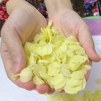 웨딩 장식용 꽃 리얼 터치 프리저브드 빅 리프 히드랑지아 꽃잎 장미 꽃잎 웨딩 컨페티 DIY 재료