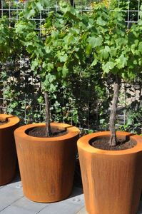 <span class=keywords><strong>Pas</strong></span> <span class=keywords><strong>cher</strong></span> En Acier Corten rustique jardin planteurs grand extérieur - Product Image 6