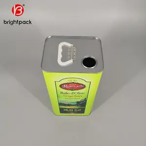 Venda Por Atacado 5L Quadrado Lata para Azeite ou Óleo de Cozinha com Tampa De Plástico Latas De Lata Personalizada Muitos Estilos