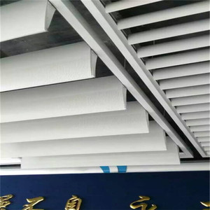 Plafonds en aluminium à plaque unique et panneaux muraux décoratifs en métal pour les halls intérieurs - Product Image 6