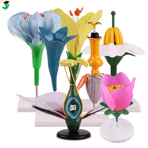 Juego de 7 Modelos de Flores Biológicas: Flor de Melocotón, Lirio, Óvulo, <span class=keywords><strong>Pistilo</strong></span>, Material Didáctico de Botánica Anatómica para Laboratorio de Ciencias Escolares - Product Image 3